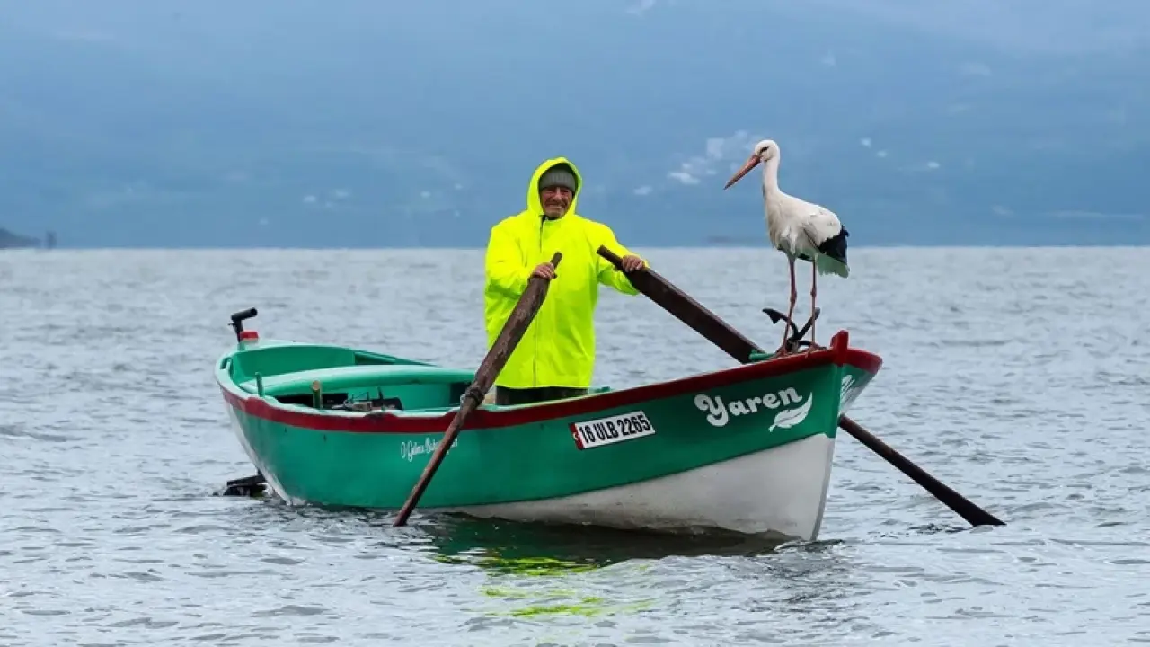 Yaren Leylek 15. yılında da göçten döndü 1