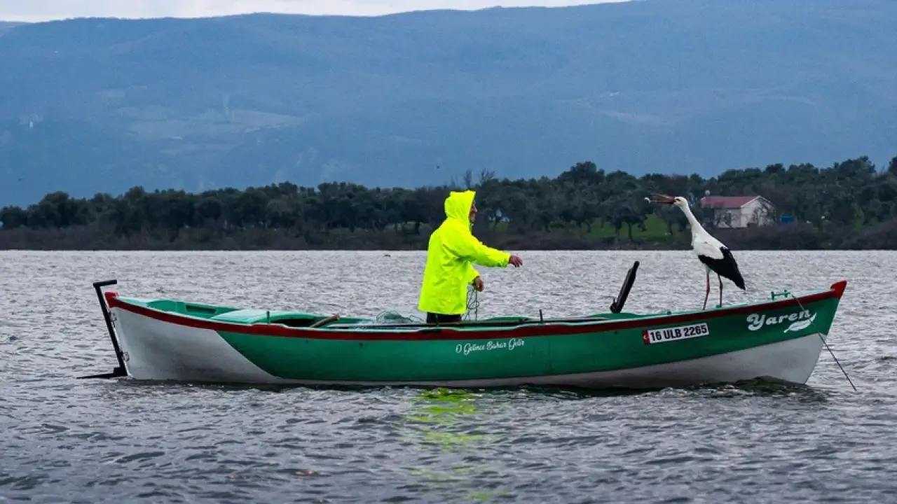 Yaren Leylek 15. yılında da göçten döndü 5