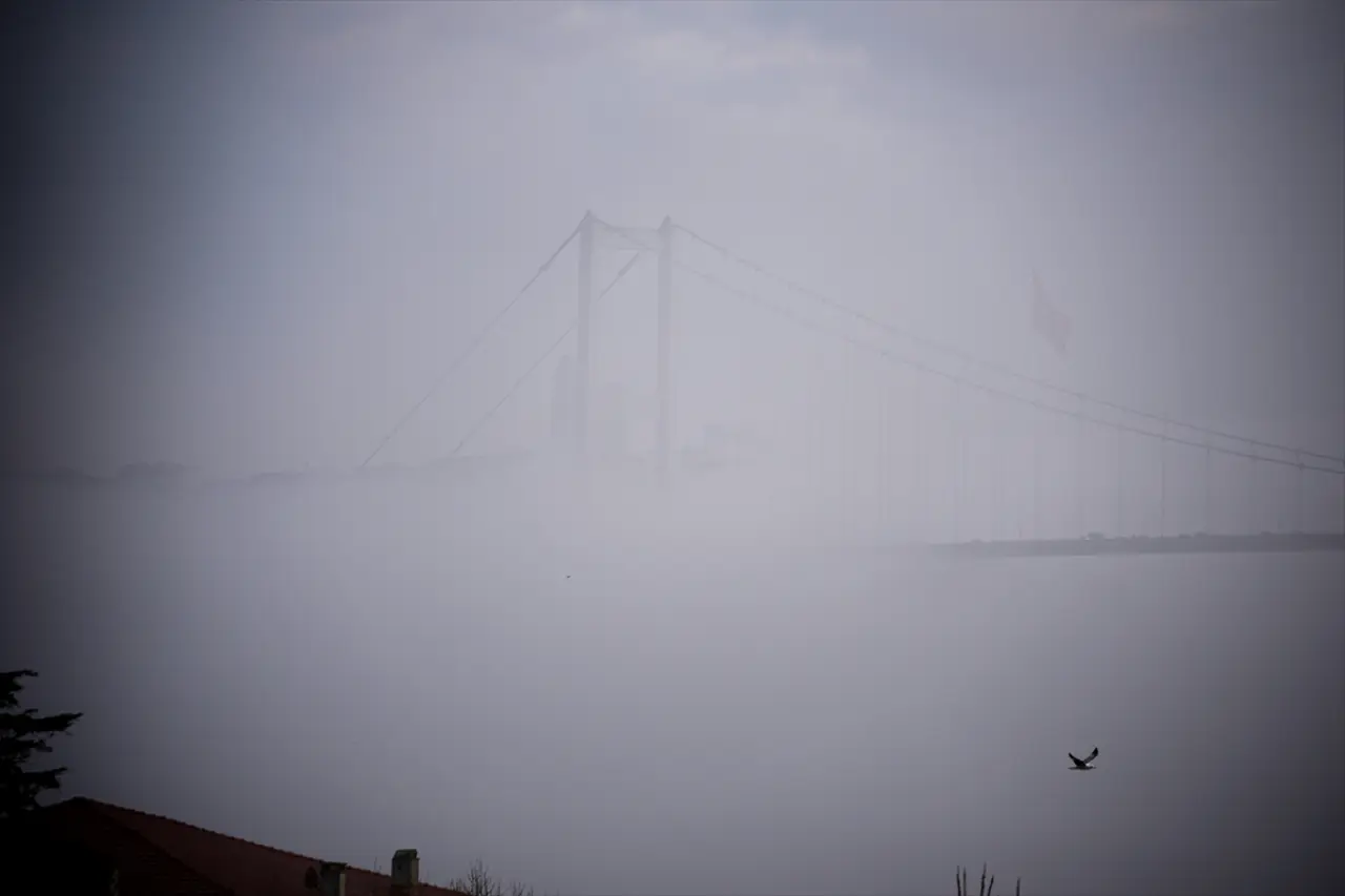 İstanbul sis bulutunun içinde kaldı: Ulaşımda aksamalar yaşanıyor 5