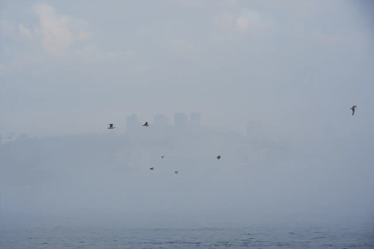 İstanbul sis bulutunun içinde kaldı: Ulaşımda aksamalar yaşanıyor 7