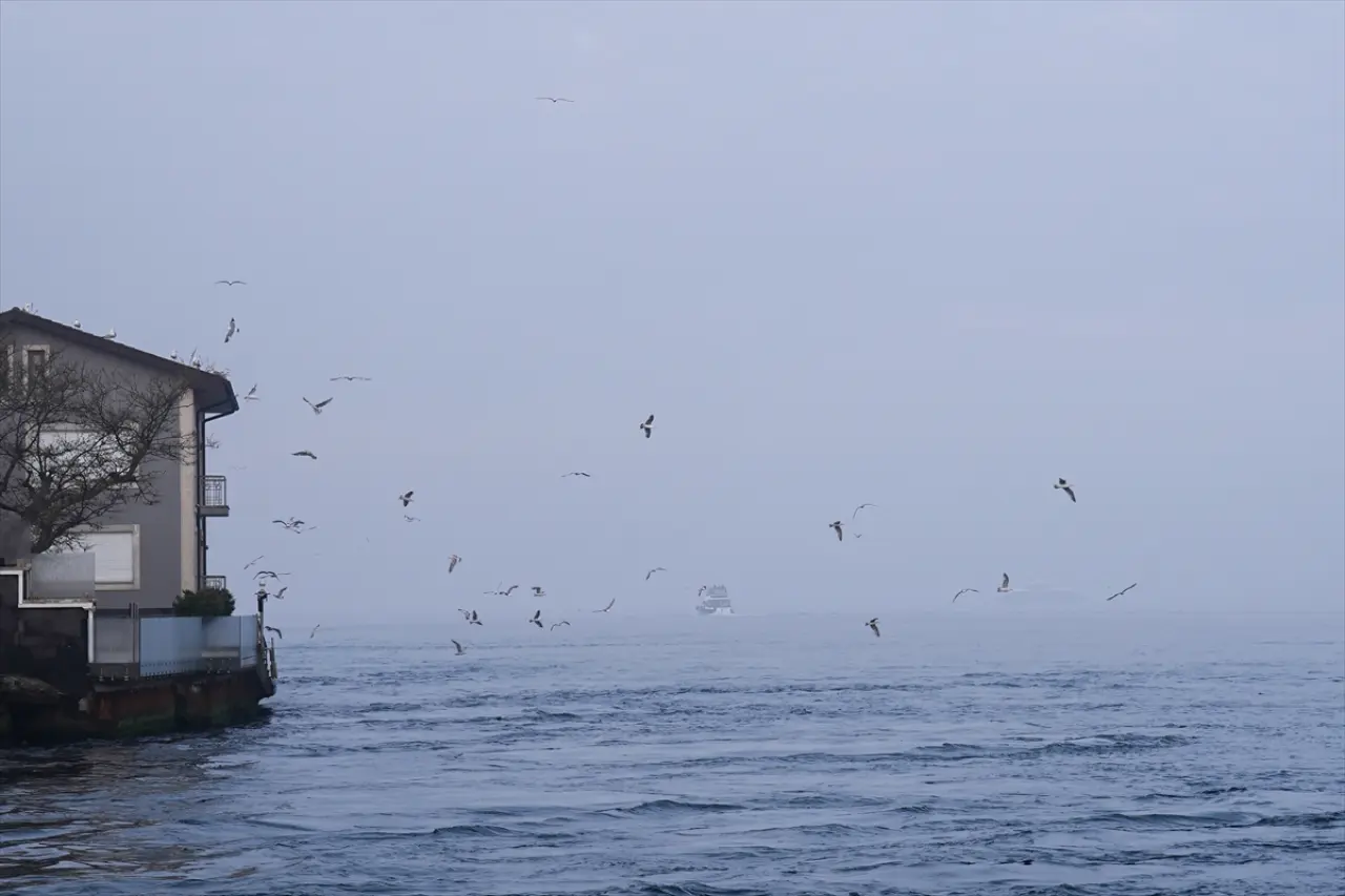 İstanbul sis bulutunun içinde kaldı: Ulaşımda aksamalar yaşanıyor 3